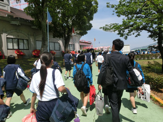 Photo_8