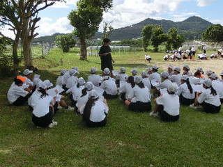 Photo_3